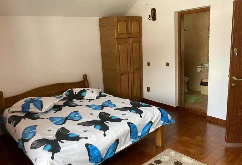 پانسیون Vila Ianis Bran