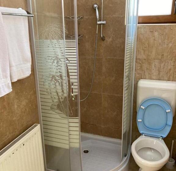 Pensió Vila Ianis Bran