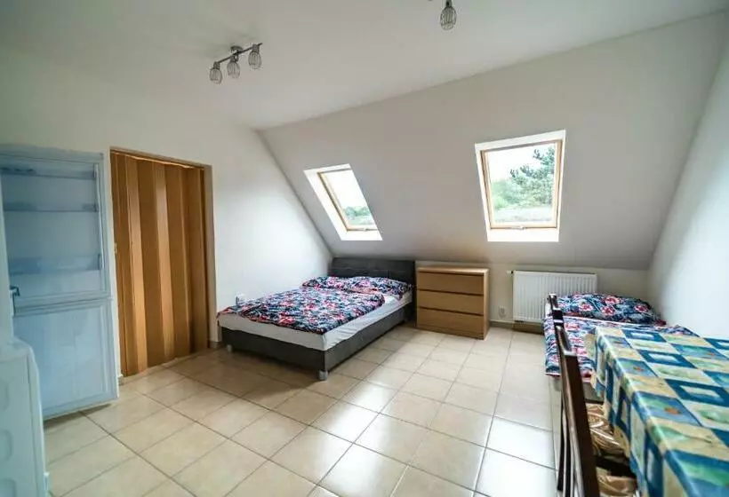 Apartmán U Lesa