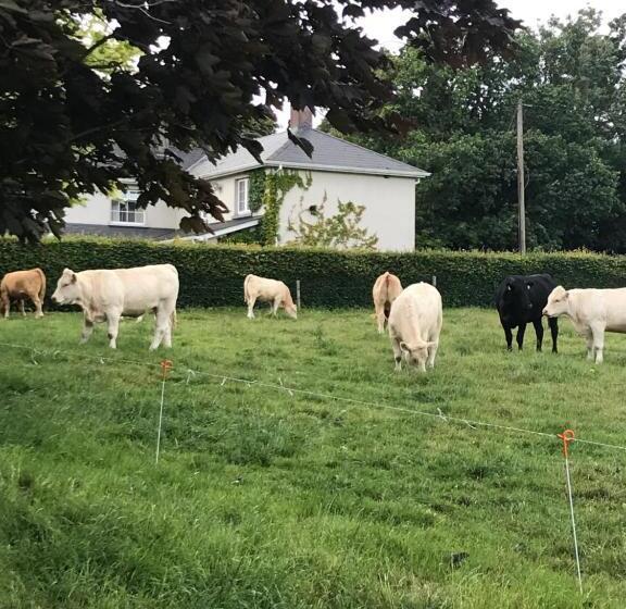 Hotel Blackrath Farmhouse