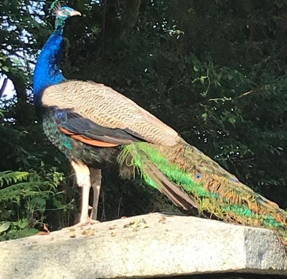 Hotel Blackrath Farmhouse