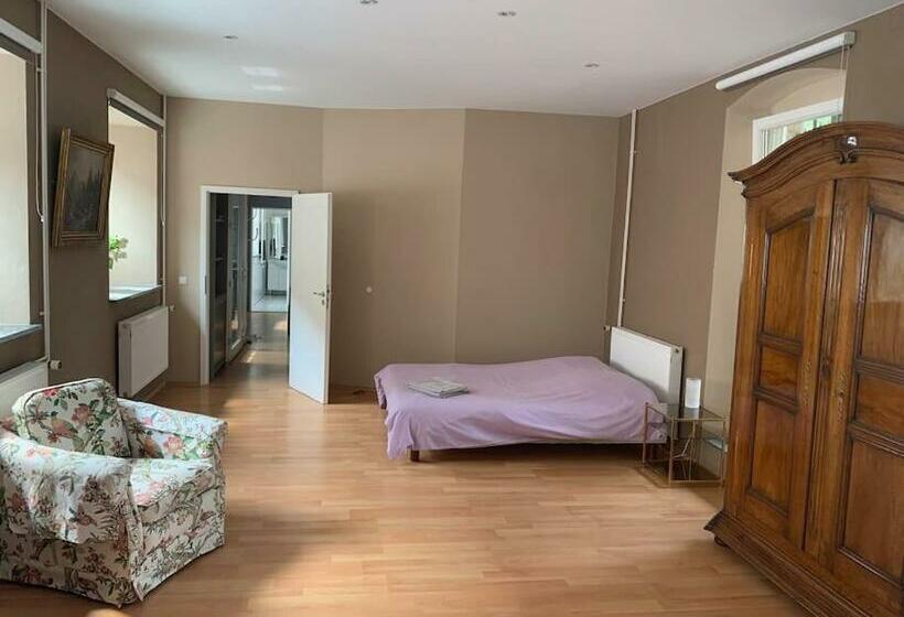 Proche Colmar Loft Dans Un Ancient Couvent Du Xviième Siècle