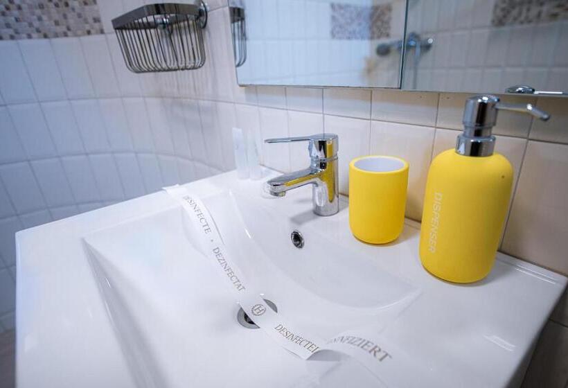 بنسيون Brateș Greaca