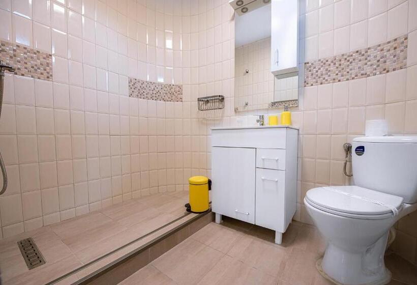 بنسيون Brateș Greaca