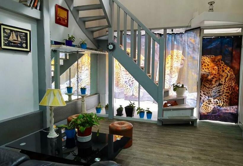 Appartement Charmant A Fecamp : 35 M² Pres Des Plages