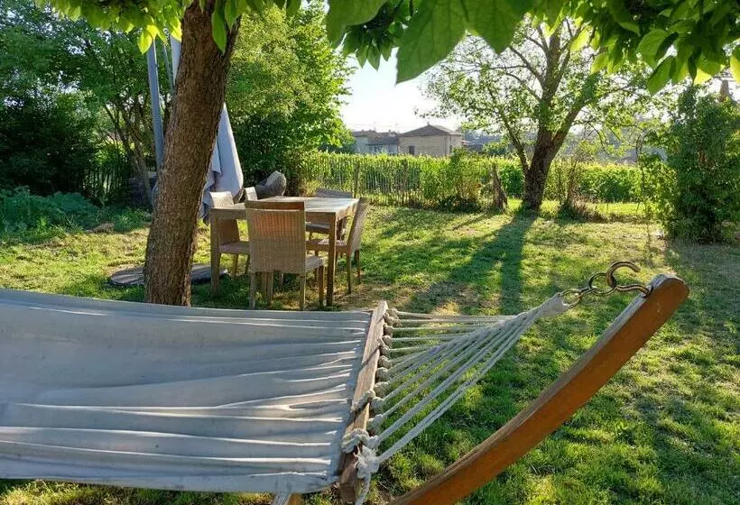 Aamiaismajoitus (B&B) Songes De Vigne