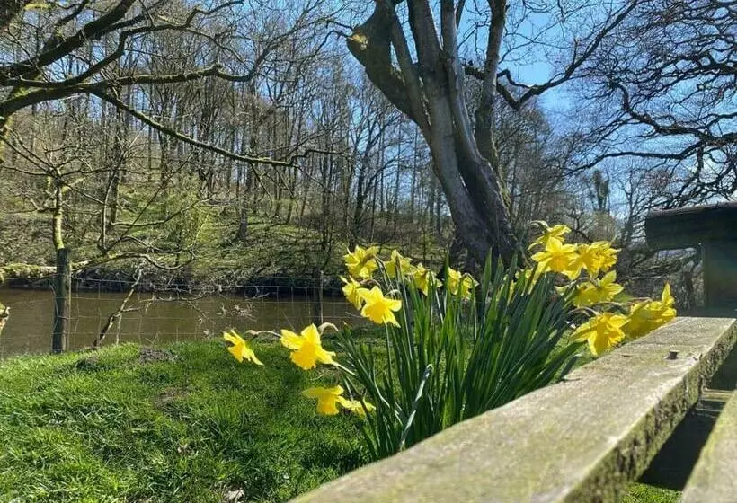 Lomakeskus Bowland Escapes