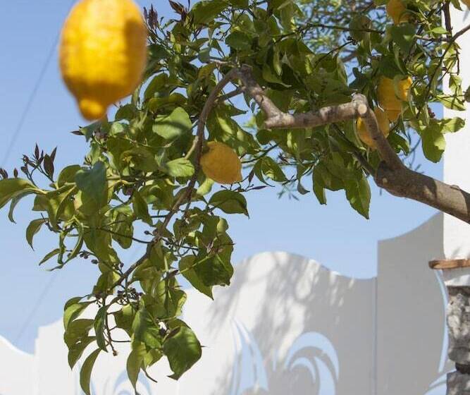 Villa Venus In Termini