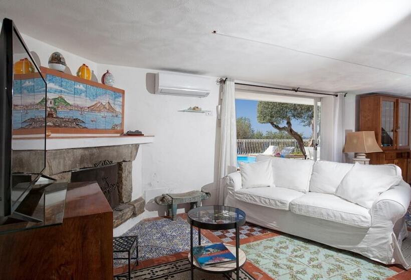 Villa Venus In Termini