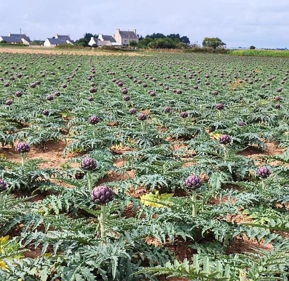 住宿加早餐 Chambres D Hôtes Les Hauts Vents