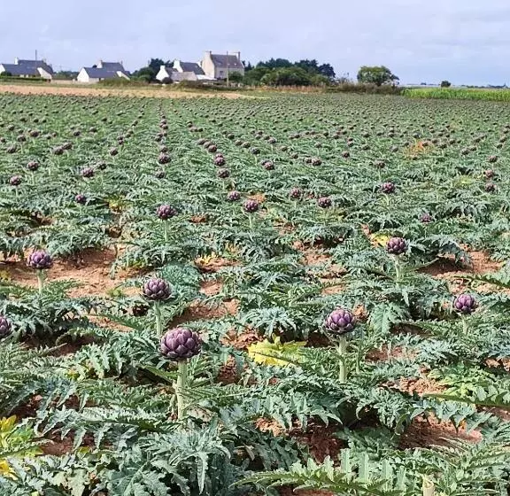 Aamiaismajoitus (B&B) Chambres D Hôtes Les Hauts Vents
