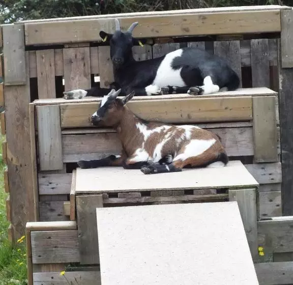 Aamiaismajoitus (B&B) Chambres D Hôtes Les Hauts Vents