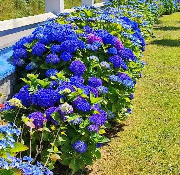 Aamiaismajoitus (B&B) Chambres D Hôtes Les Hauts Vents