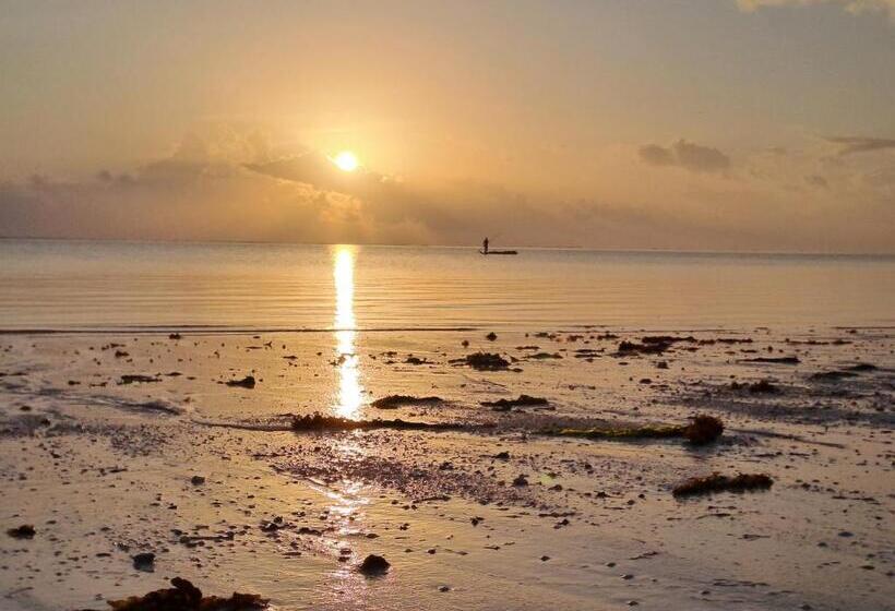 مبيت وإفطار Karibu House