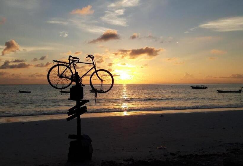 مبيت وإفطار Karibu House