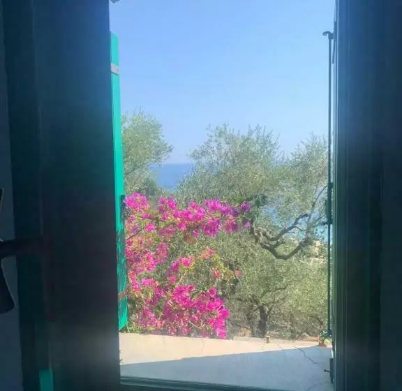 پانسیون Amapola House