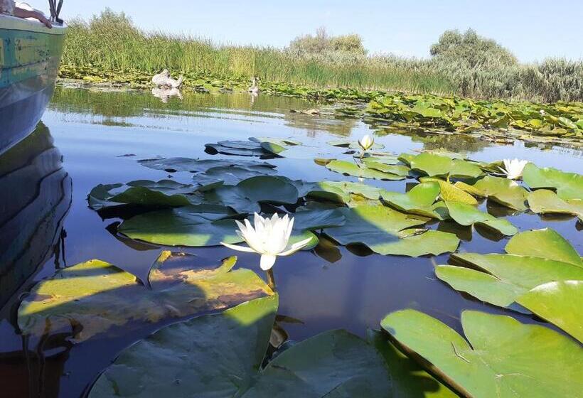 Пансион Casa De La Ghiol