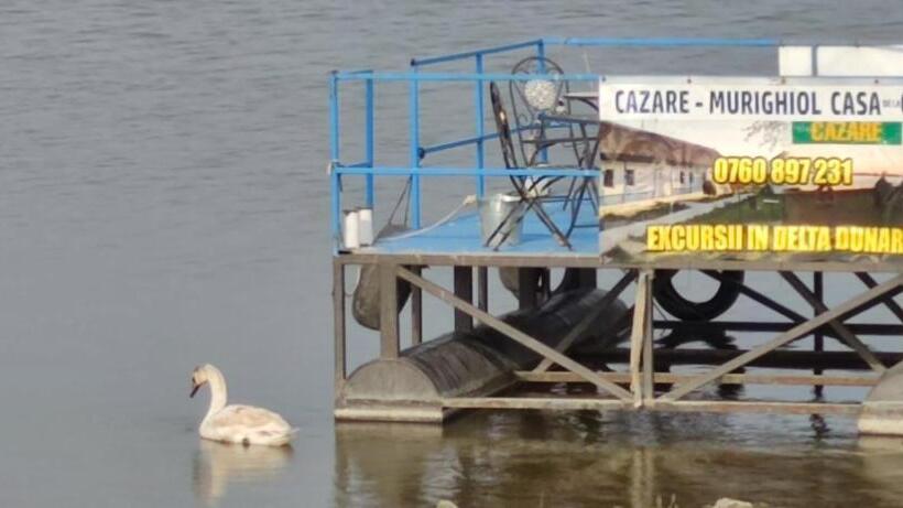 Пансион Casa De La Ghiol