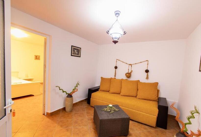 Пансион Casa De La Ghiol