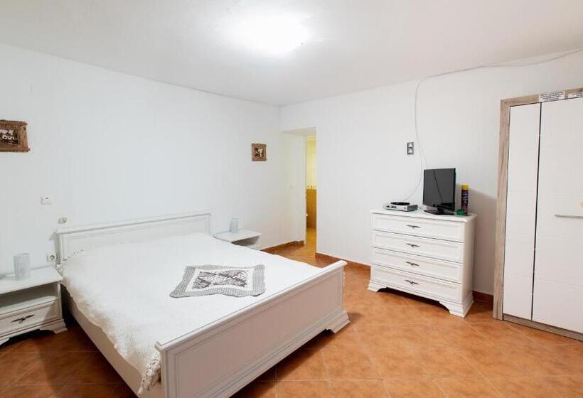 Пансион Casa De La Ghiol