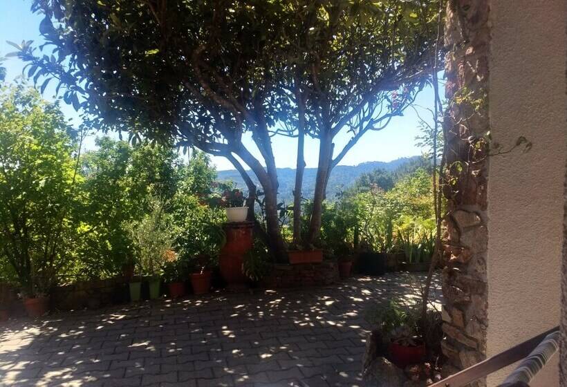 بنسيون Les Jardins D Arbousse