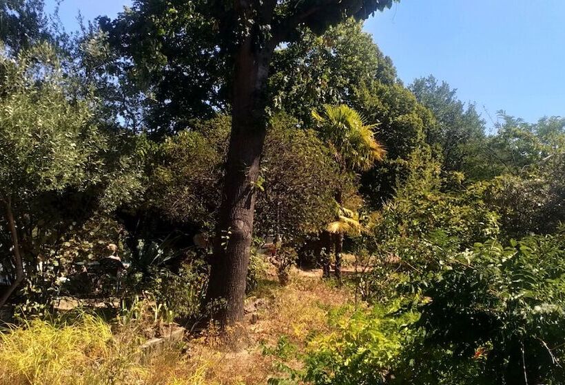 بنسيون Les Jardins D Arbousse