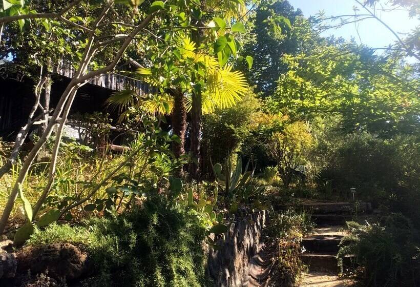 بنسيون Les Jardins D Arbousse