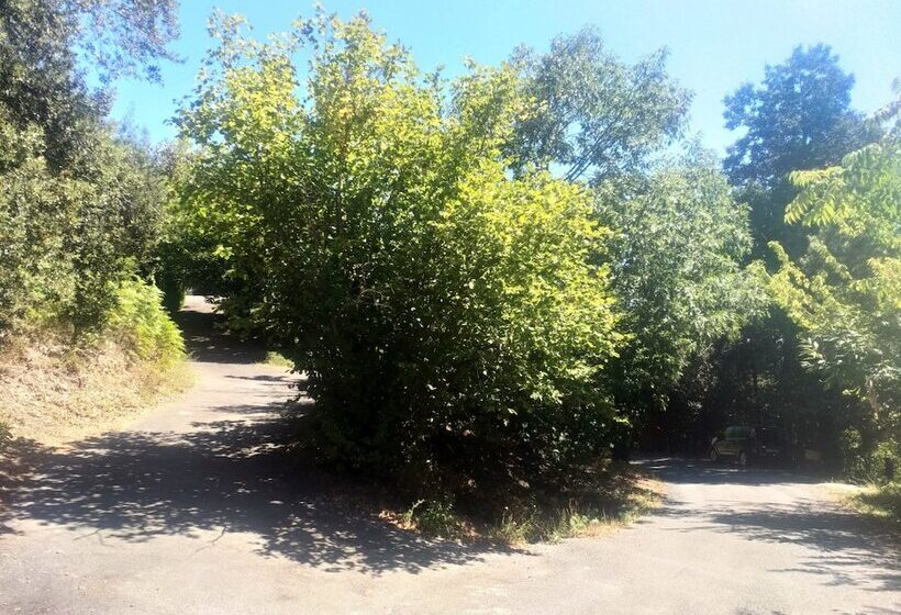 بنسيون Les Jardins D Arbousse