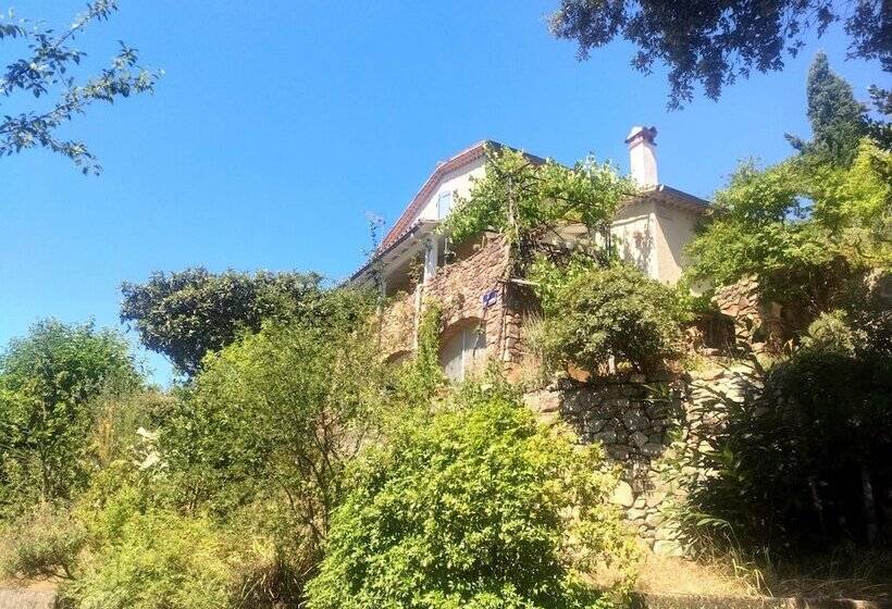 بنسيون Les Jardins D Arbousse