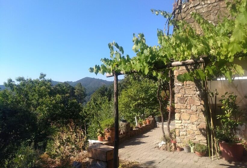 بنسيون Les Jardins D Arbousse