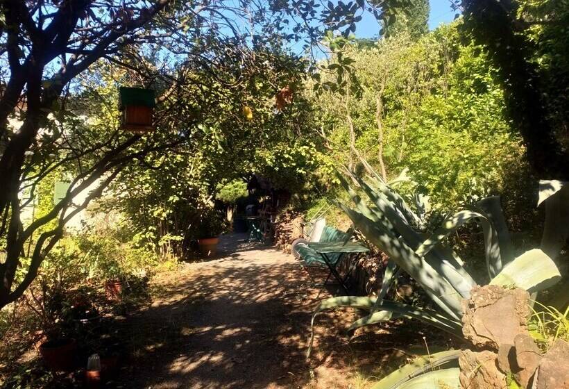 بنسيون Les Jardins D Arbousse