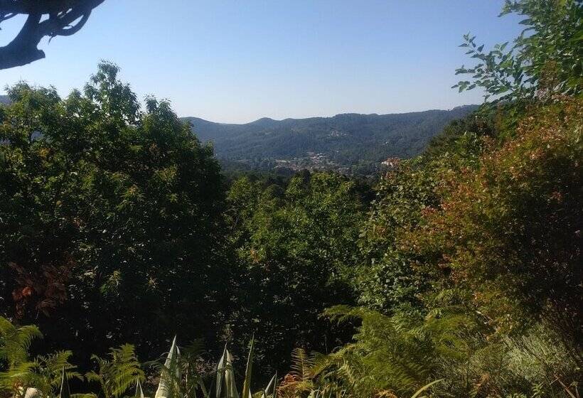 بنسيون Les Jardins D Arbousse