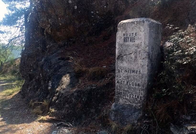 بنسيون Les Jardins D Arbousse