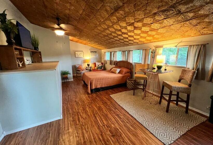 פנסיון The Augustine