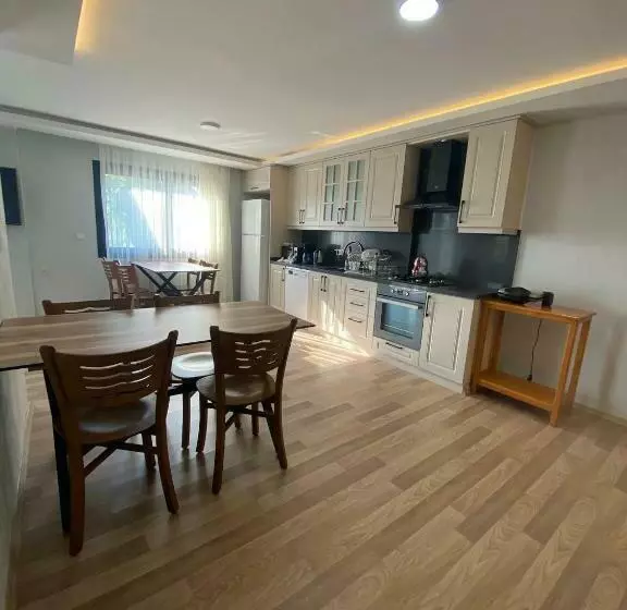 Villa çınar