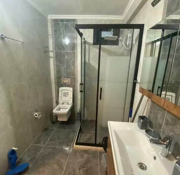 Villa çınar