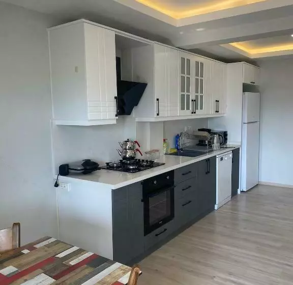Villa çınar