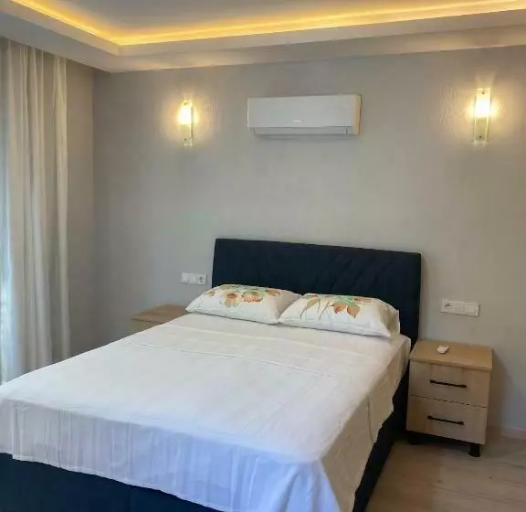 Villa çınar