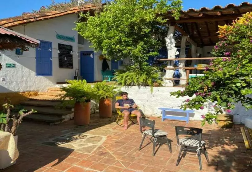 Tree Of Life   Hostel