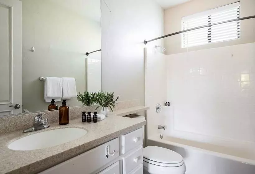 Villa Verbena By Avantstay Expansive Estate W B Ball Court Poolspa Entertainers Yard