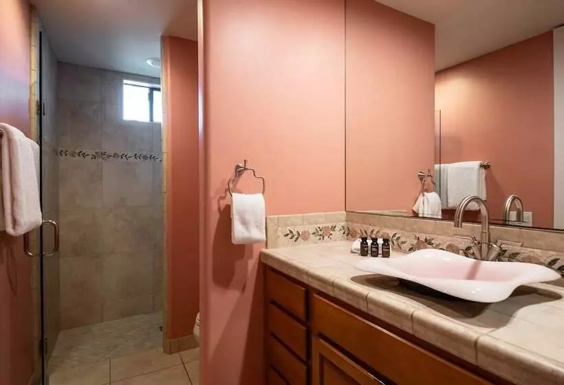 Villa Verbena By Avantstay Expansive Estate W B Ball Court Poolspa Entertainers Yard