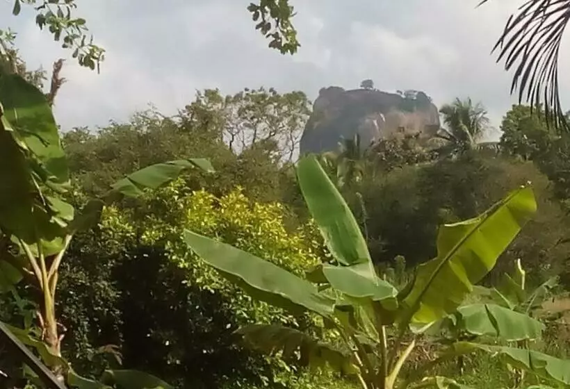 Walawwa Home Stay