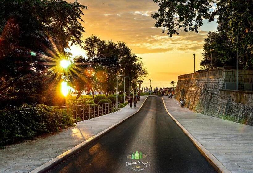 فندق فئة نجمة واحدة Neva Room With Private Bathroom