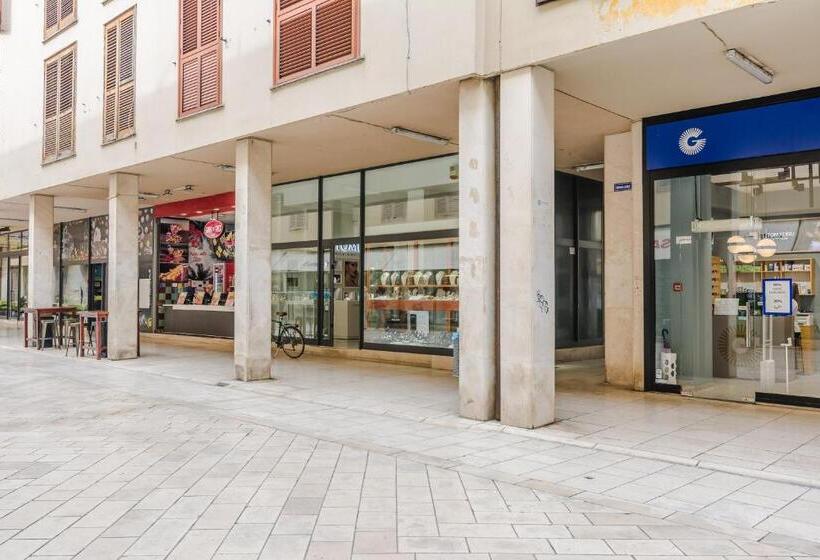 فندق فئة نجمة واحدة Neva Room With Private Bathroom