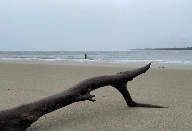 فندق Coconut Lanta Resort @klong Dow Beach