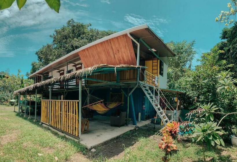 پانسیون Orgánico Punta Riel