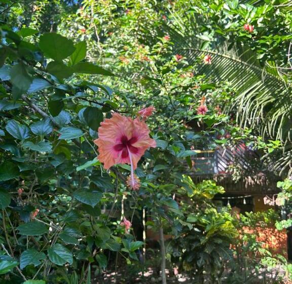 پانسیون Orgánico Punta Riel