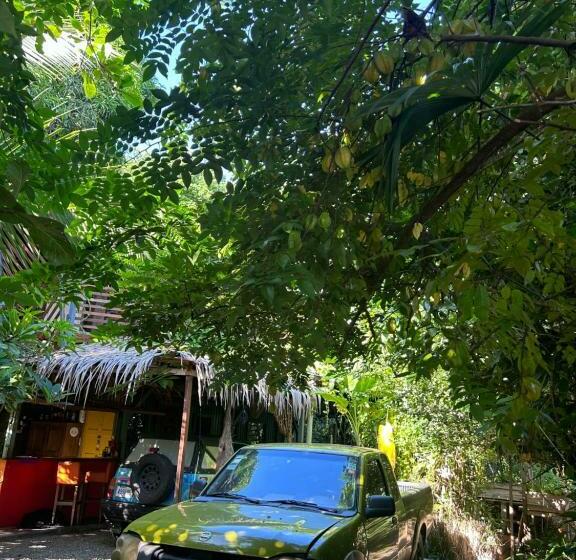 پانسیون Orgánico Punta Riel