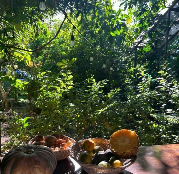 پانسیون Orgánico Punta Riel