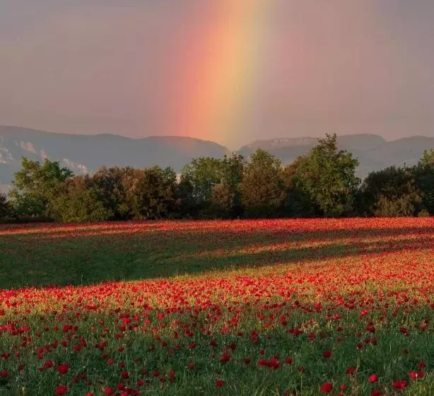 Aamiaismajoitus (B&B) Chambre Raisin 2p, Pour 2 Nuits Max, A 6km Du Festival De Piano De La Roque D Anthéron à 100m De La